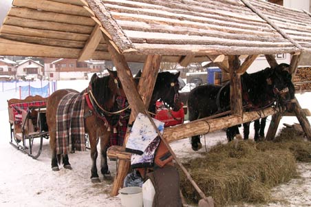 Escursioni Cavallo Dolomiti