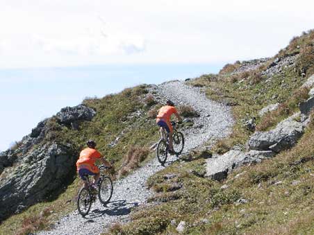 Mountainbikers in Comelico