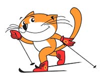 Logo Comelico Nordic Ski