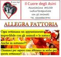 ALLEGRA FATTORIA