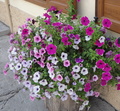 CONCORSO BALCONE FIORITO