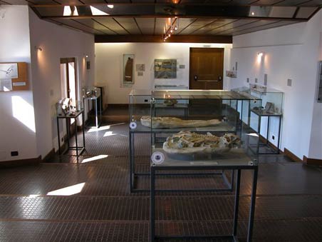 Museo Paleontologico Danta