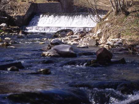 Pesca torrente