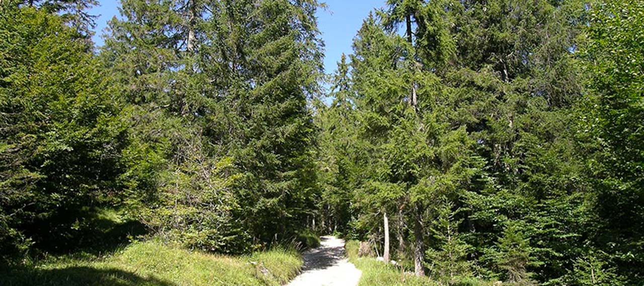 Il Cammino delle Dolomiti