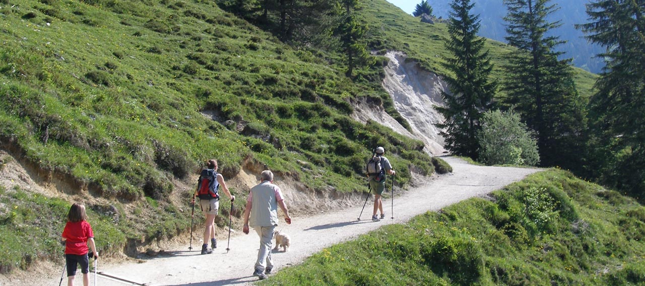 Passeggiate Escursioni - Trekking