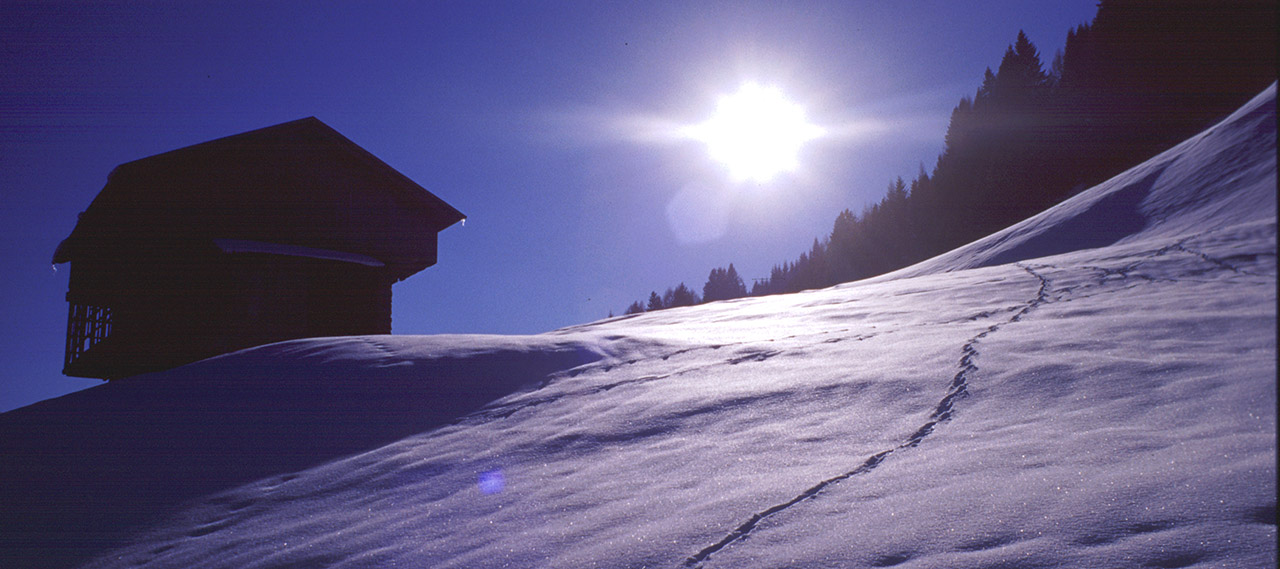 Meteo e Neve