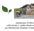 AGRITURISMO AL BELVEDERE