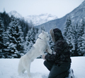 SLEDDOG